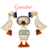 Ganster Goose Arrested