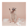 Meme di animale divertente del procione spazzatura Panda
