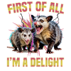 Funny Opossum