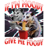 Funny Opossum