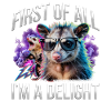Funny Opossum