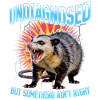 Funny Opossum