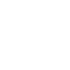 Stylish Labrador design