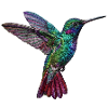 Colibri en aspect brodé (imprimé)