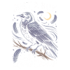 Just a boy who loves crows