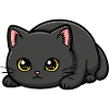 Midnight Whisker Kitten