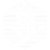 Pure snowboard focus