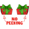 Don't look! Naughty Christmas present! Watch