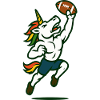 Unicorn Gridiron Leap
