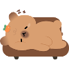 Sleepy Tired Capybara 