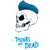 PUNKS NOT DEAD #2 - steam punk'n'roll