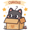 Curious Cat in Kawaii Cardboard Box