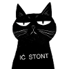 Cat Noir and Stont