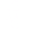 Ride Bike