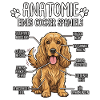 Cocker Spaniel : La vraie anatomie
