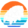 Tardigrade Tardigrade Ours d’eau tardigrade