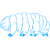 Tardigrade Ours d’eau tardigrade Tardigrade