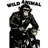 Chimp Biker Rebel on Midnight Bike