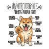 Shiba Inu: The True Anatomy