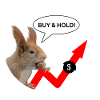 Financial Shirt Squirrel Buy & Hold