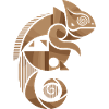Chameleon Design - Geometric Change