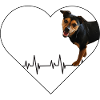 Herzschlag-Hund: Liebe mit Puls