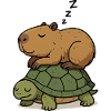 Slumbering capybara on a turtle