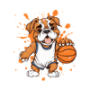 Basketball bulldog in sprint