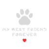 my best friend forever