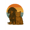 Teckel et chat