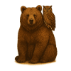 Bär und Eule