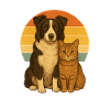 Border Collie et Cat