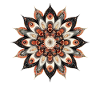 Warm Mandala Blossom Print