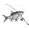 Roach Roach Fish Rod Fishing Ink