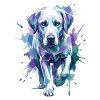 Labrador – Timeless elegance