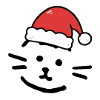 Cat with christmas hat