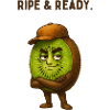 Kiwi Held: Reif & Bereit
