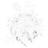 Eyebloom