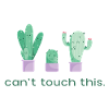 Can't Touch This Cactus Funny Saying