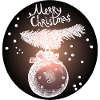 Weihnachtskugel mit Tannenzweig