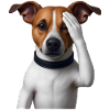 DOG WATCHING YOU - animals