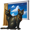 EGYPTIAN CATS - animals