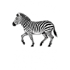 Zebra Saying Funny Zebra Gift