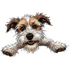 chien