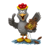 HarryKuckuck aus dem Schwarzwald 2.0