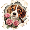 Beagle