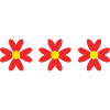 FLOWER. NATURE. ECOLOGY. ANNIVERSARY. FEAST