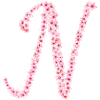 Cherry blossom initial N