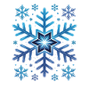 Large Elegant Snowflake Winter