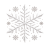 Large Elegant Snowflake Winter